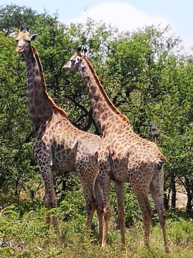 Boulders Safari Lodge Малалане Экстерьер фото